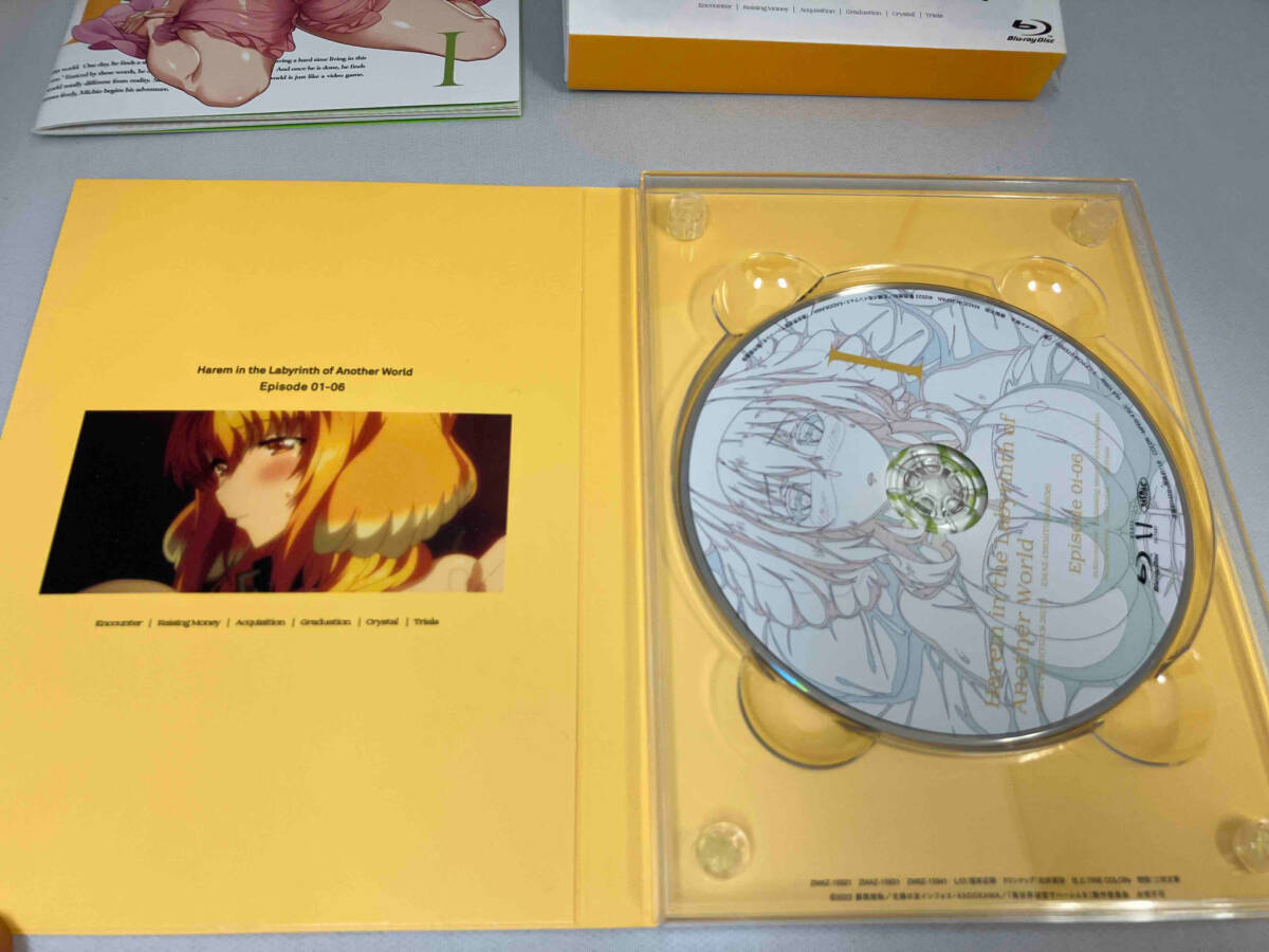 １円スタート 異世界迷宮でハーレムを Blu-ray BOX 上巻(通常版)(Blu-ray Disc) ZMAZ-15931 中古_画像4