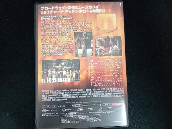 DVD コーラスライン_画像2