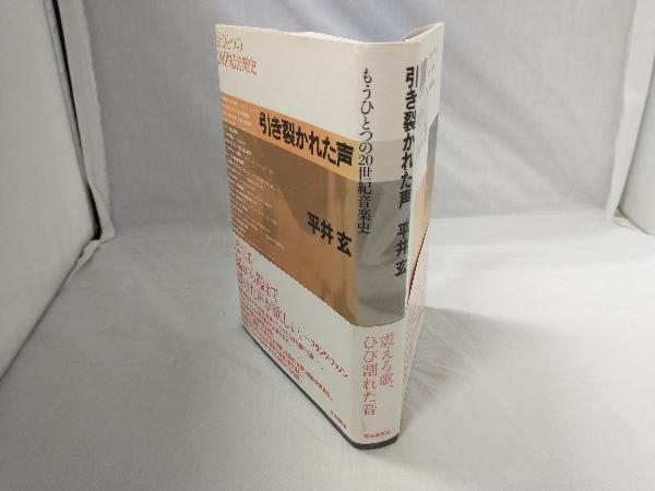 引き裂かれた声 平井玄_画像2