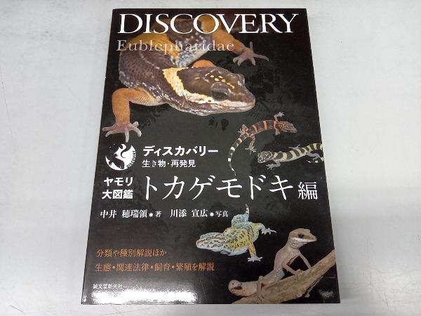  lizard large illustrated reference book lizard mo when compilation middle ....