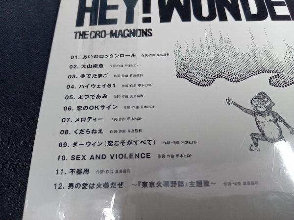 帯あり ザ・クロマニヨンズ CD HEY! WONDER_画像3