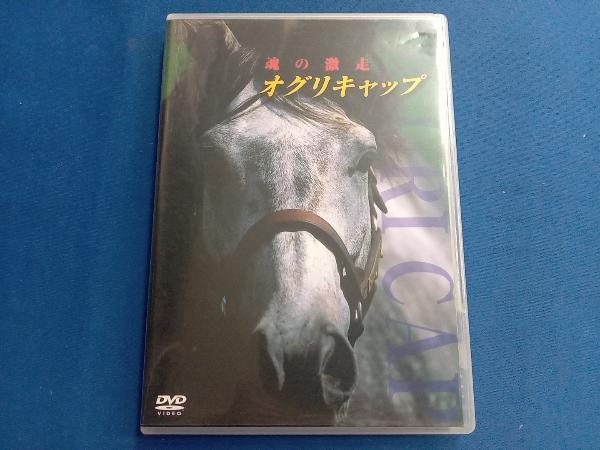 DVD オグリキャップ 激闘の真実_画像1