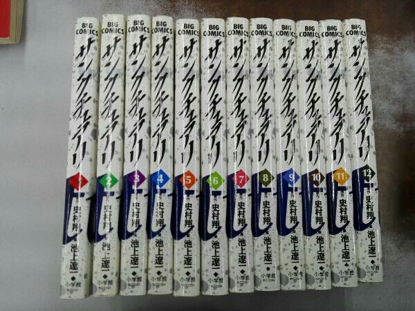 ヤケシミあり 全巻セット サンクチュアリ 全12巻完結セット 池上遼一 史村翔_画像1