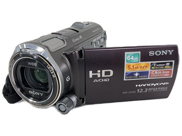 【動作保証】SONY HDR-CX560V ハンディカム ビデオカメラ 2011年製 家電 ソニー 中古 W8809423の画像1