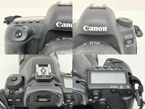 【動作保証】Canon EOS 5D Mark IV EF24-70L II USM レンズキット 中古 良好 Z8846158_画像7