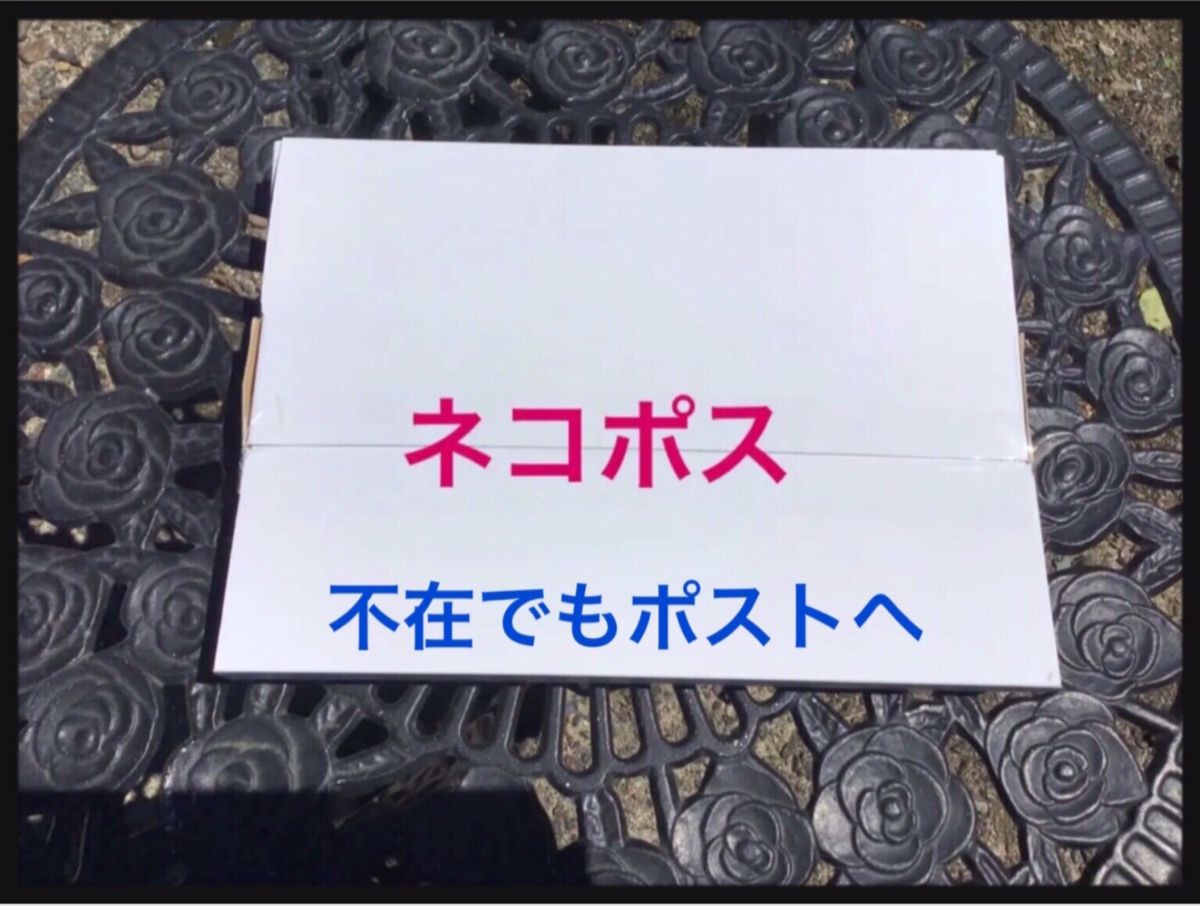 大判サイズ大開運癒やし繁栄海洋タツノオトシゴタペストリー留具付き匿名スピード発送