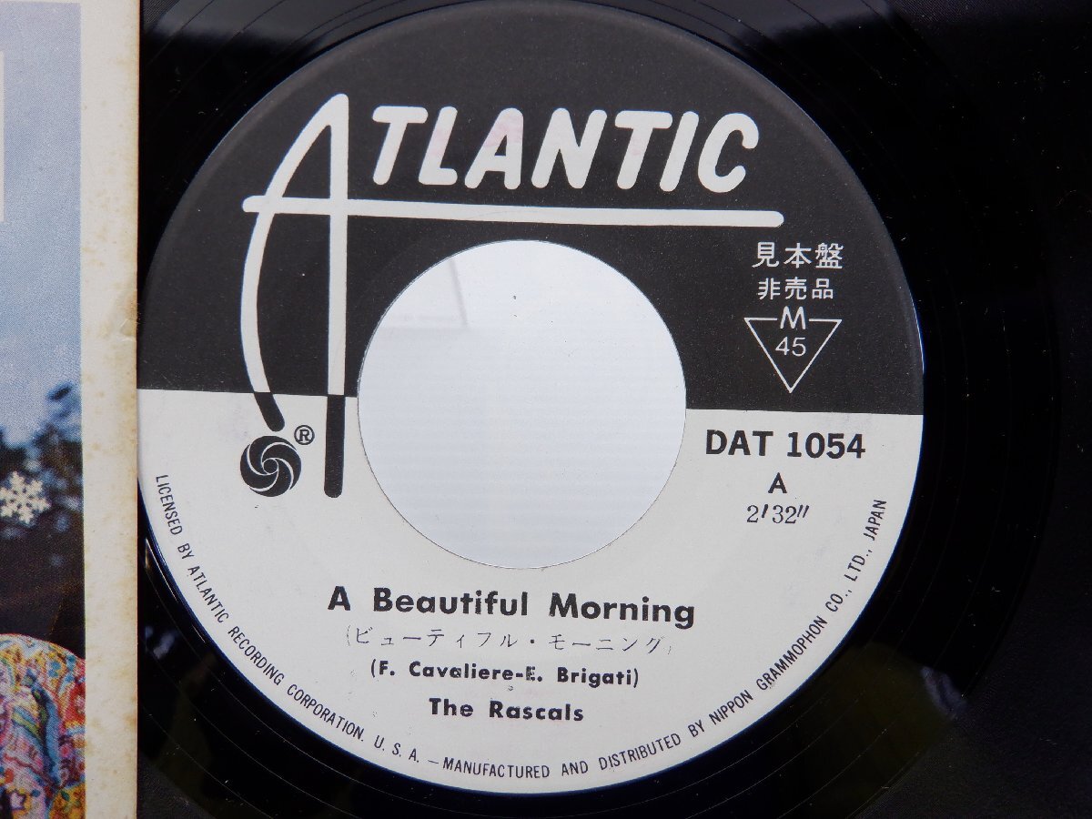 The Rascals「A Beautiful Morning / Rainy Day」EP（7インチ）/Atlantic(DAT-1054)/洋楽ロックの画像2