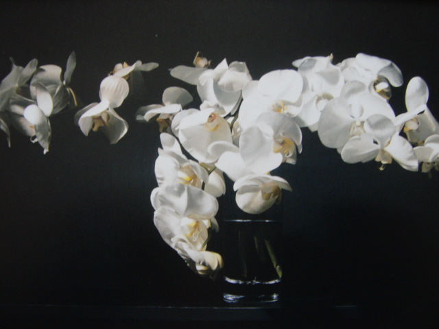 . taste writing .[ white flower ], rare book of paintings in print ., condition excellent, new goods high class frame attaching, free shipping, Western films oil painting scenery,zer
