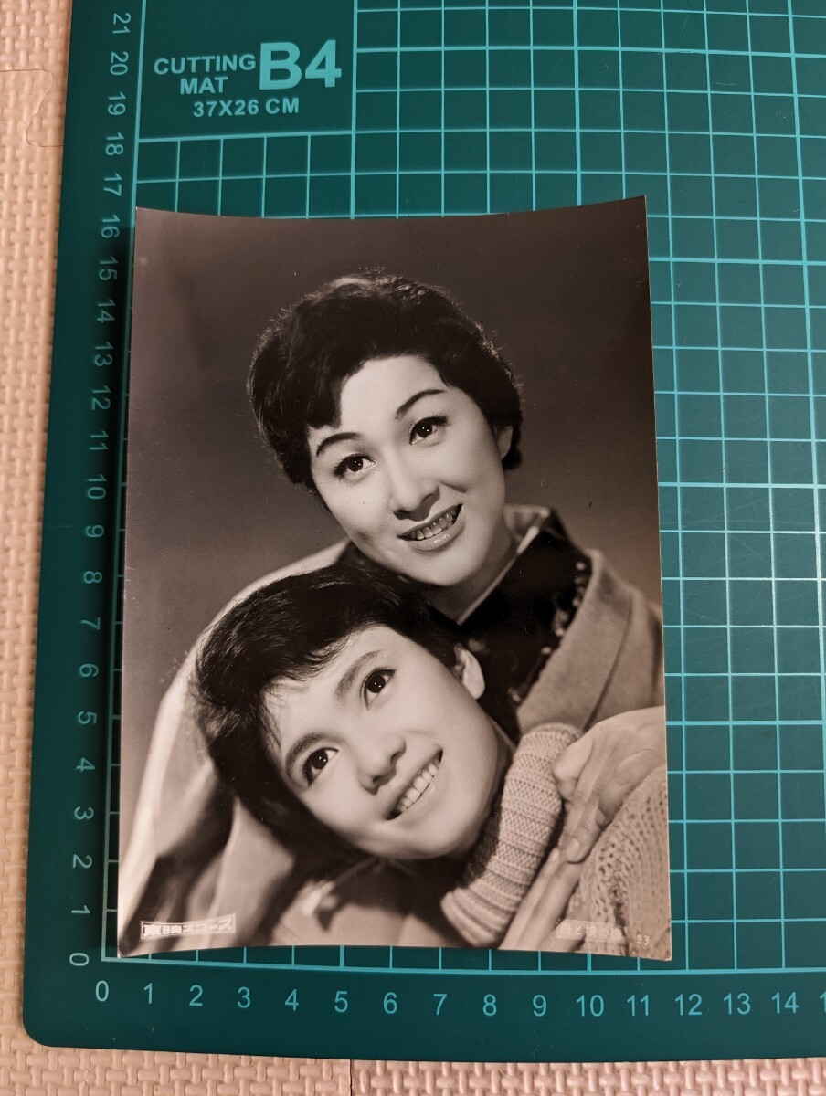 母と娘の瞳　古い映画スチール写真　全3枚　木暮実千代　中原ひとみ_画像2
