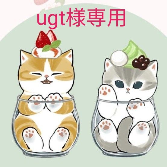 ugt様専用です