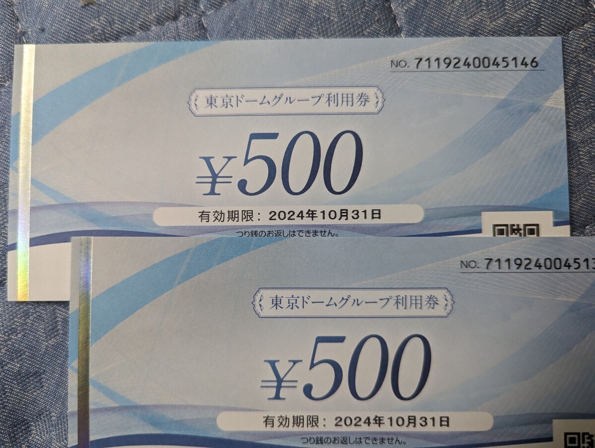 東京ドームグループ利用券《500円×2枚》読売ジャイアンツ戦使用可能【〜2024.10.31】セントラルリーグ、セ・パ交流戦　東京読売巨人軍_画像1