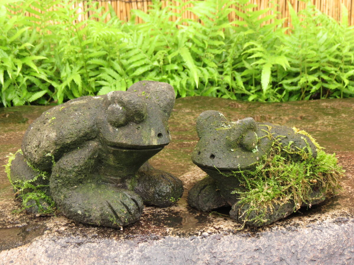  камыш 2 шт длина 24.5cm,20cm. двор камень Kyushu производство натуральный камень 