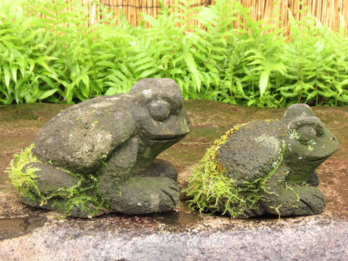  камыш 2 шт длина 24.5cm,20cm. двор камень Kyushu производство натуральный камень 