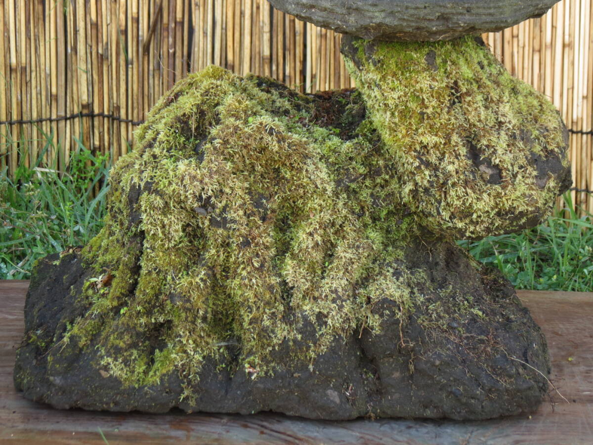 石灯篭　高さ70.5cm　重量52kg　自然木型　九州産天然石_画像4
