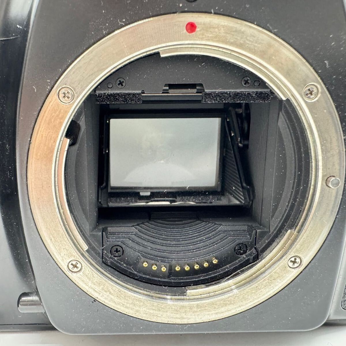 CANON キャノン EOS-1n ボディ フィルムカメラ 35mmシステム 一眼レフカメラ プレーンシャッター式 オートフォーカス キヤノン の画像2