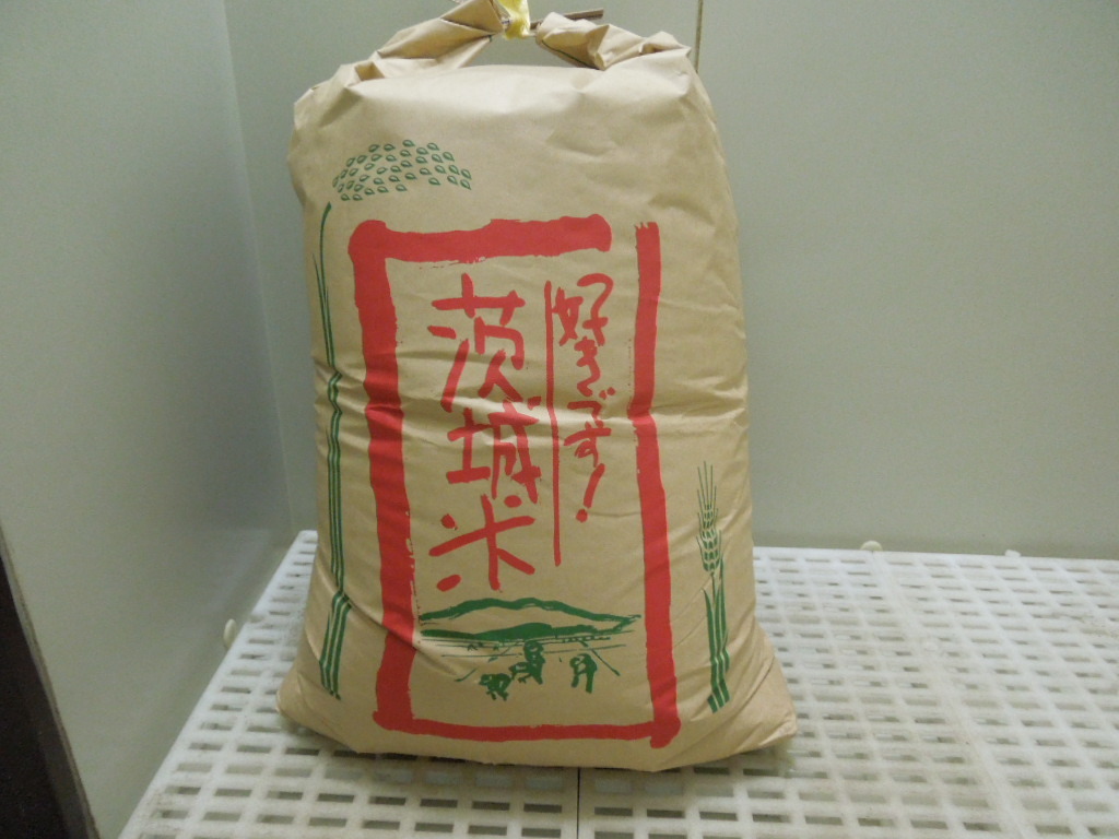 令和5年度 茨城県産 農家直送 こしひかり コシヒカリ 玄米30kgを精米済み 約27kg 全国送料無料!!!42_画像1