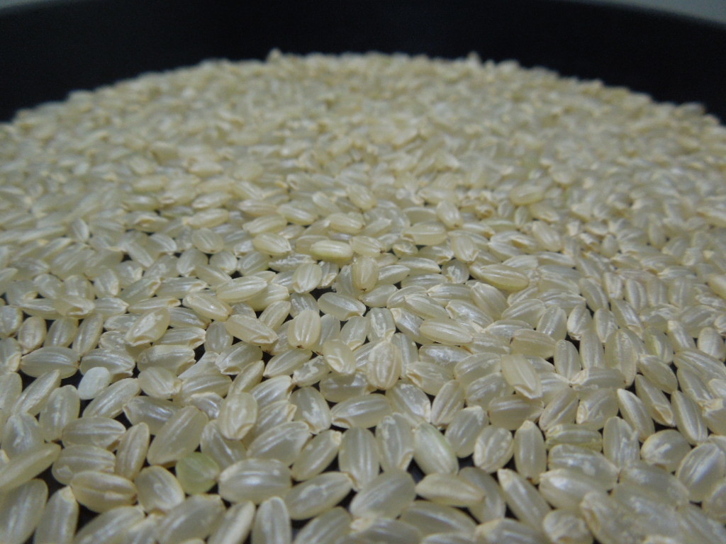 令和5年度 茨城県産 農家直送 こしひかり コシヒカリ 玄米30kgを精米済み 約27kg 全国送料無料!!!44_画像3