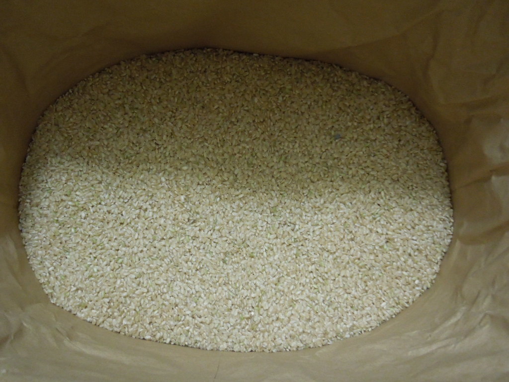 令和5年度 茨城県産 農家直送 こしひかり コシヒカリ 玄米30kgを精米済み 約27kg 全国送料無料!!!54_画像2