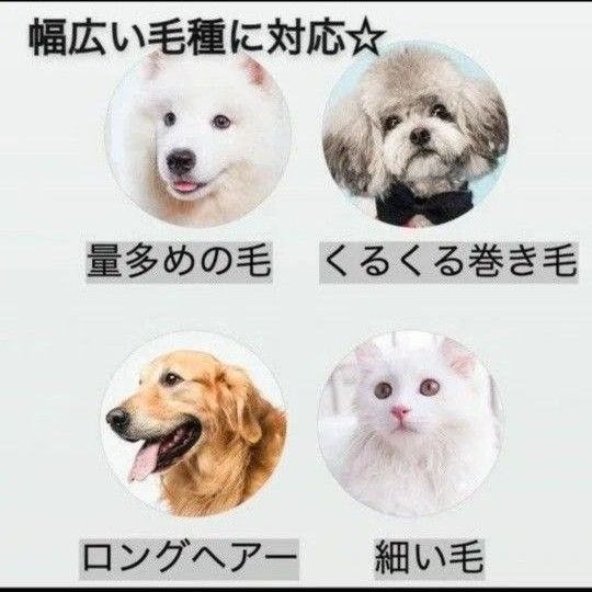 ペット用バリカン 犬 猫 自宅 トリミング ブラシ 散髪 アタッチメント プロ USB ブラシ　クリッパー