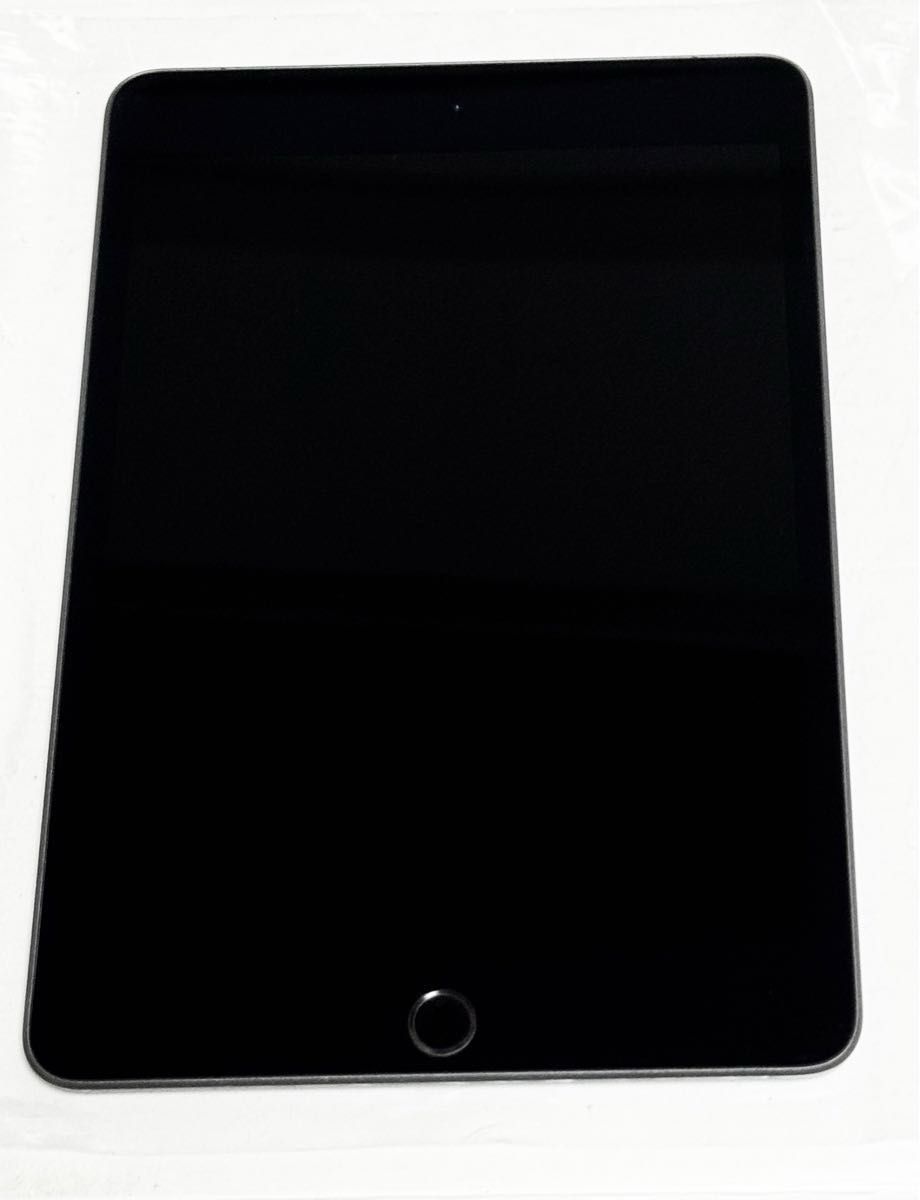 美品　iPad mini 第5世代 Cellular 64GB SIMフリー