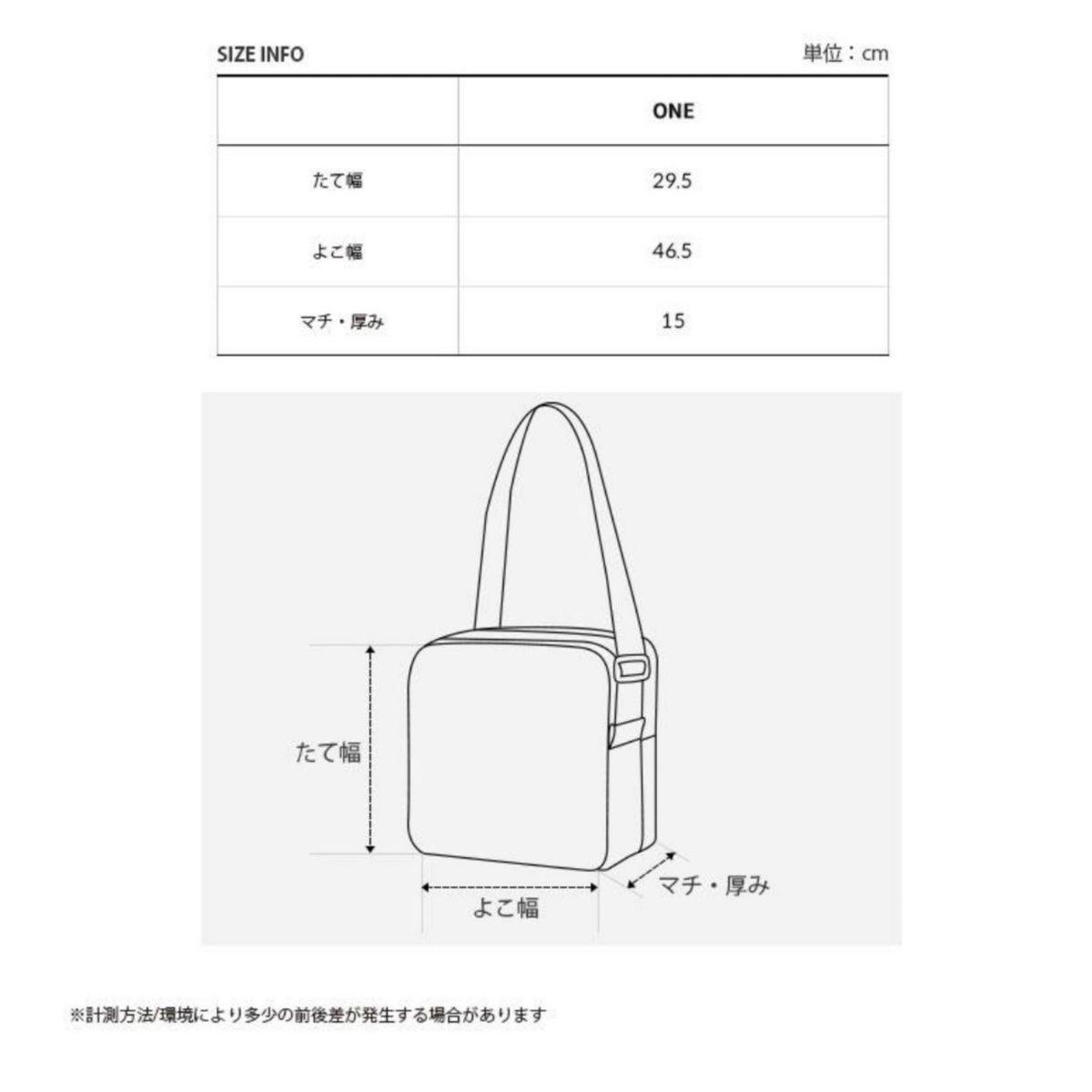 THE NORTH FACE ノースフェイス ビッグロゴショルダーバ BIG LOGO SHOULDER BAG