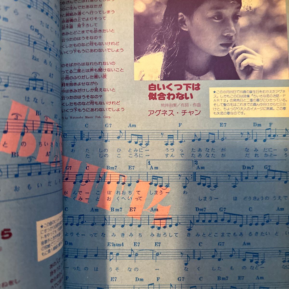 532 平凡パンチ臨時増刊 1975/9　東てる美・長谷直美・児島美ゆき・二松きぬえ・ピンナップカレンダー　鈴木美保　谷川清美　高樹まり_画像5