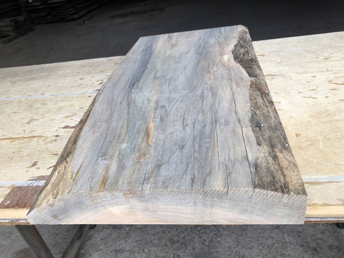  free shipping![U301C] maple 575×~280×46. maple finest quality . dry material woodworking DIY material tree natural tree natural wood {. tree ....}