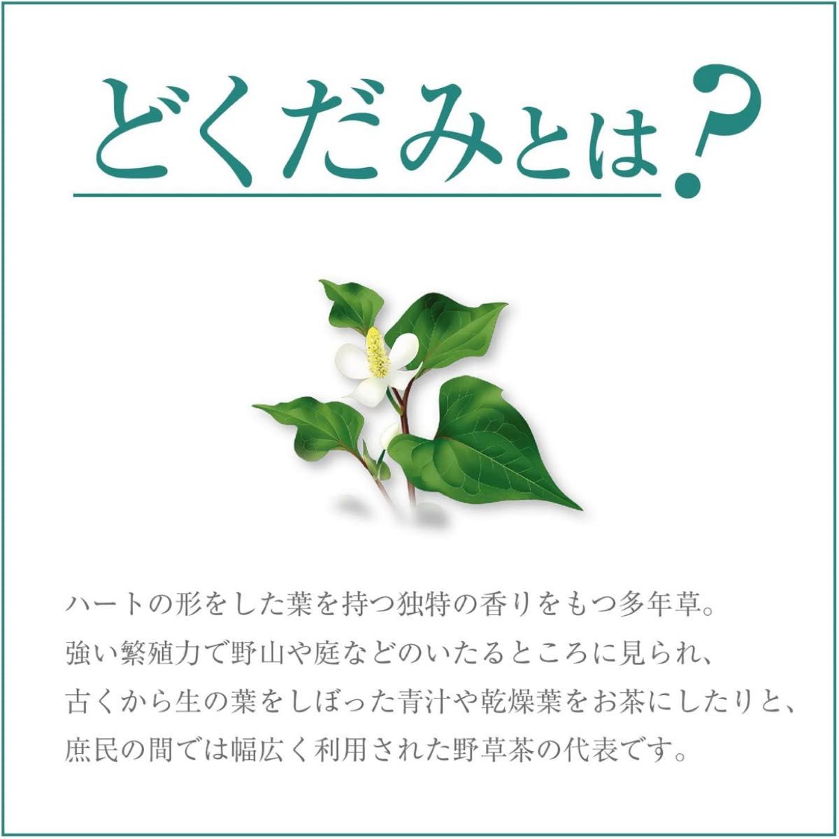 オリヒロ 徳用どくだみ茶 48袋入り ２袋セット◆◇◆24時間以内発送◆◇◆