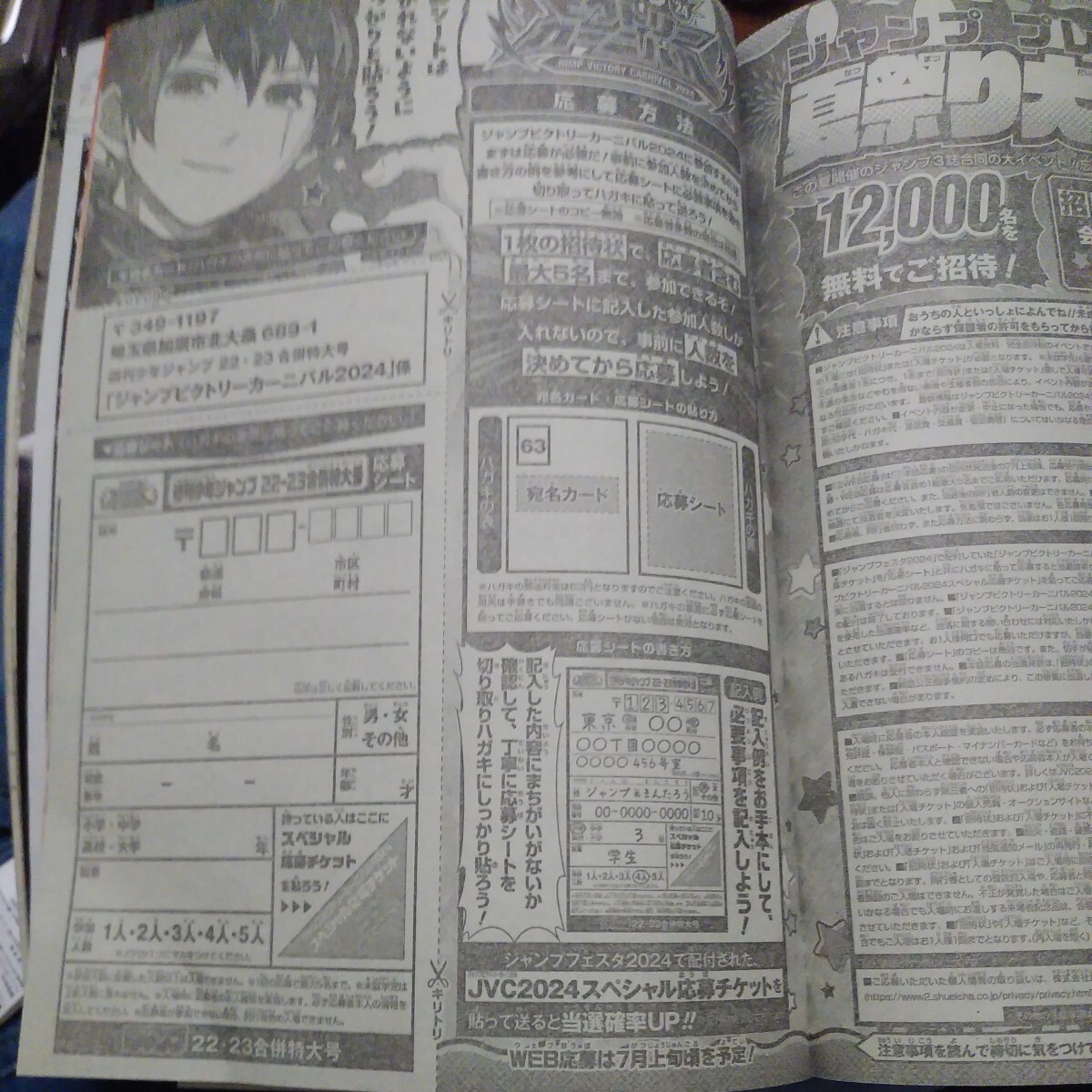 ジャンプビクトリーカーニバル2024応募券シート 週刊少年ジャンプ2024年22・23合併号 の画像1