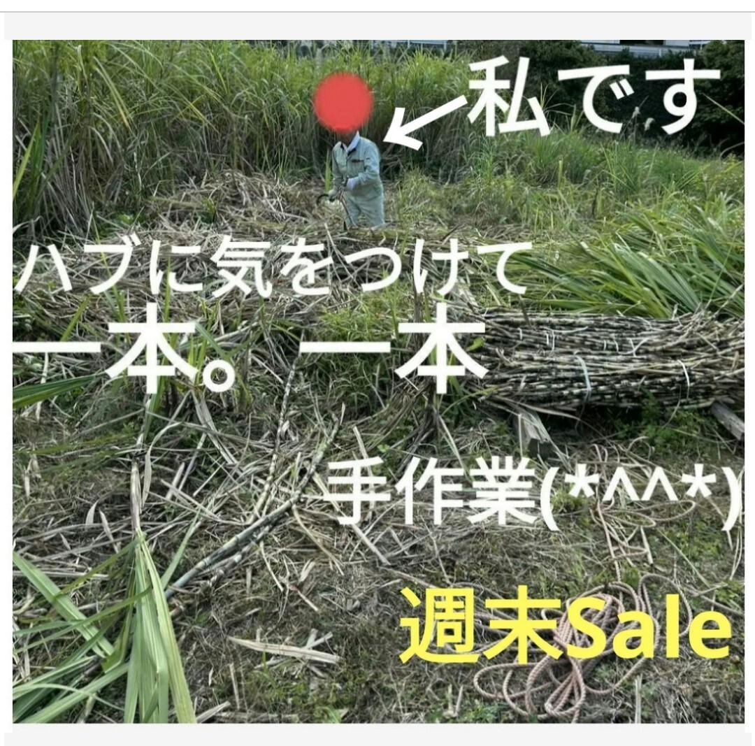 今年ラスト〜Sale　　　　　　　　　　　　　サトウキビ種　999円→777円 　　　　　　ご愛顧ナンバー