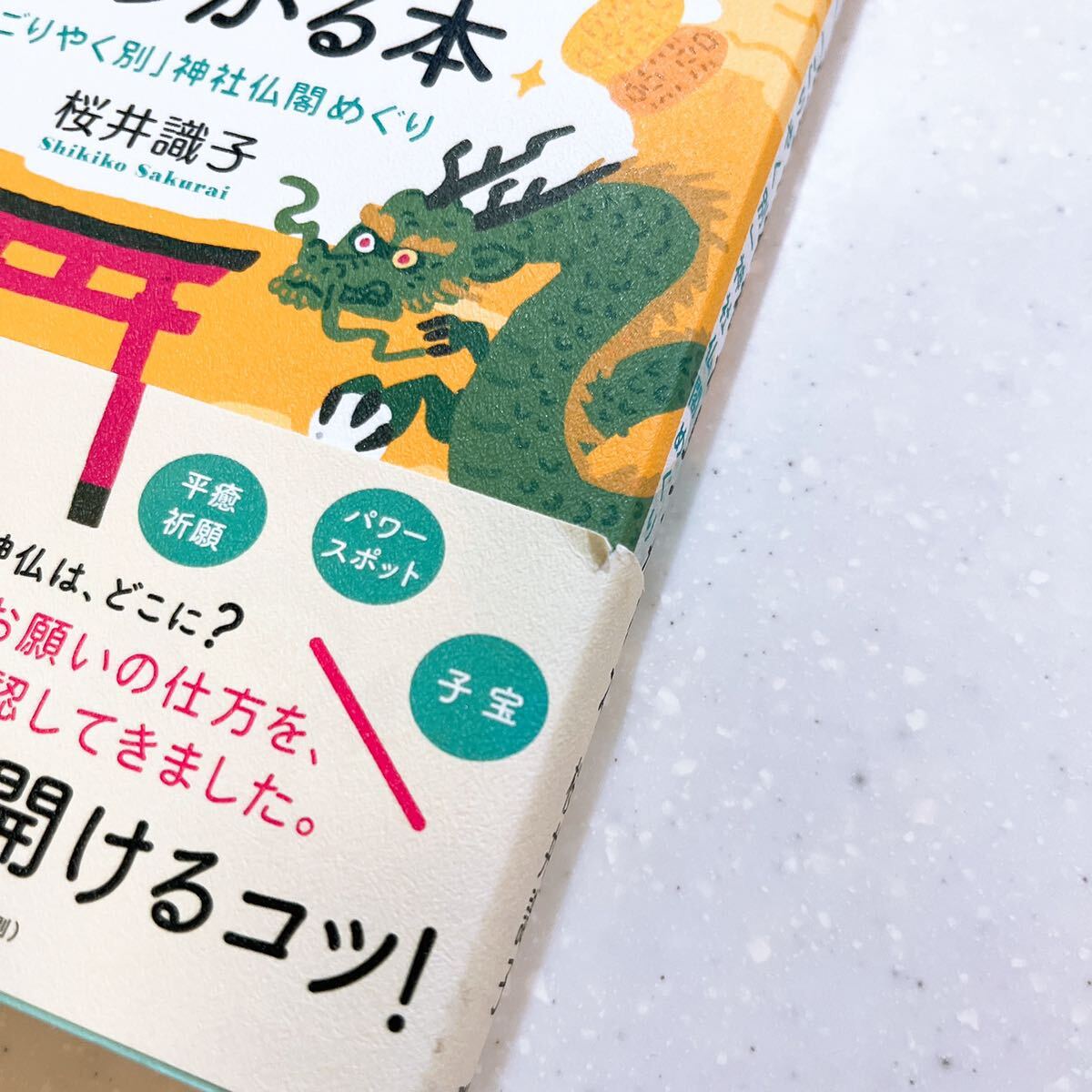 あなたにいま必要な神様が見つかる本「ごりやく別」神社仏閣めぐり 桜井識子／著【22】_画像5