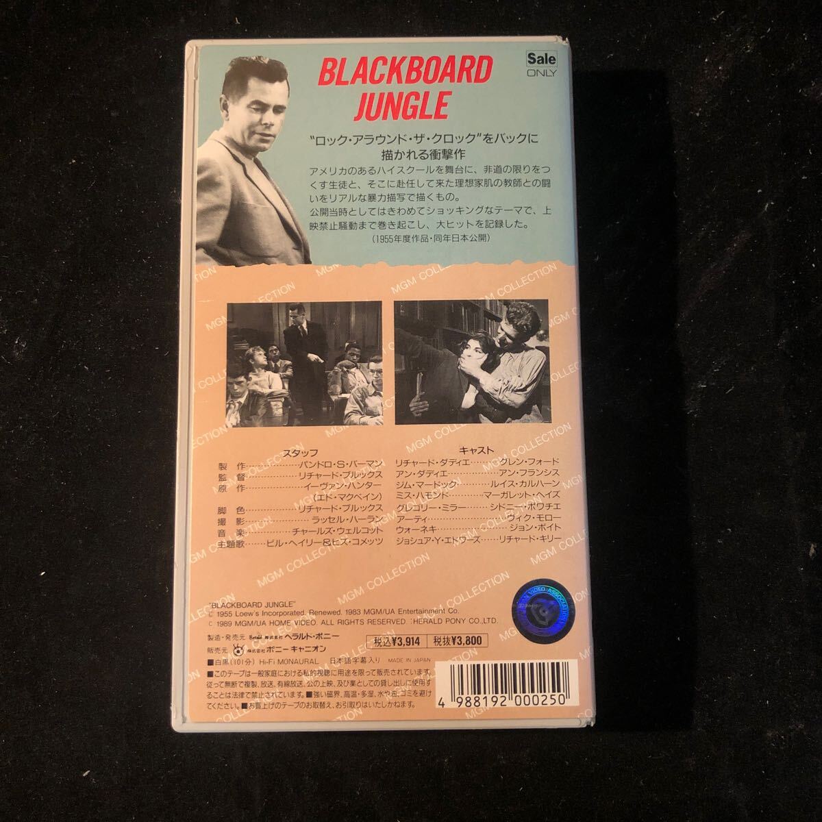 VHSビデオ 暴力教室　BLACKBOARD JUNGLE　映画クレン・フォード、アン・フランシス、ルイス・カルハーン GLENN FORD ANNE FRANCIS af_画像2