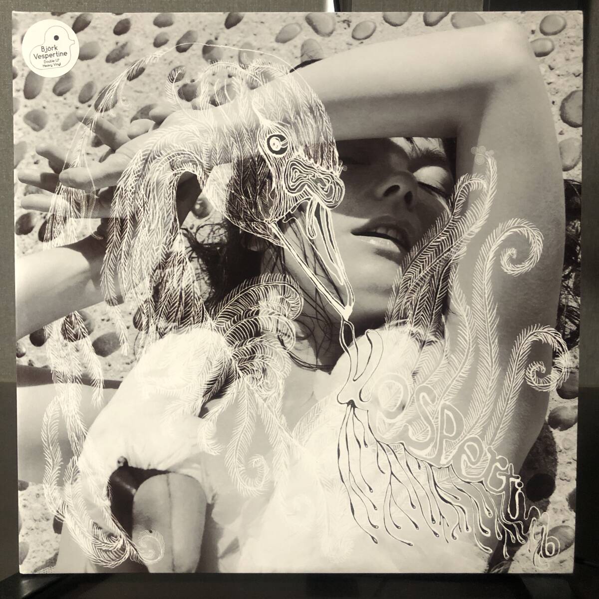 Bjrk - Vespertine (2 records) (B1) その他