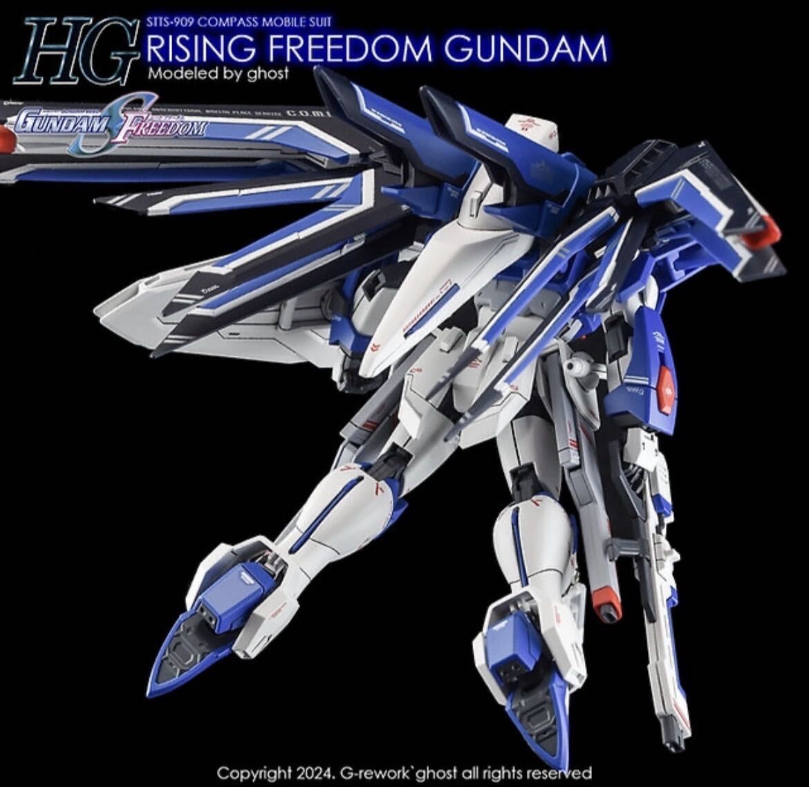 HG 1/144 RISING FREEDOMライジングフリーダムガンダム用水転写式デカール