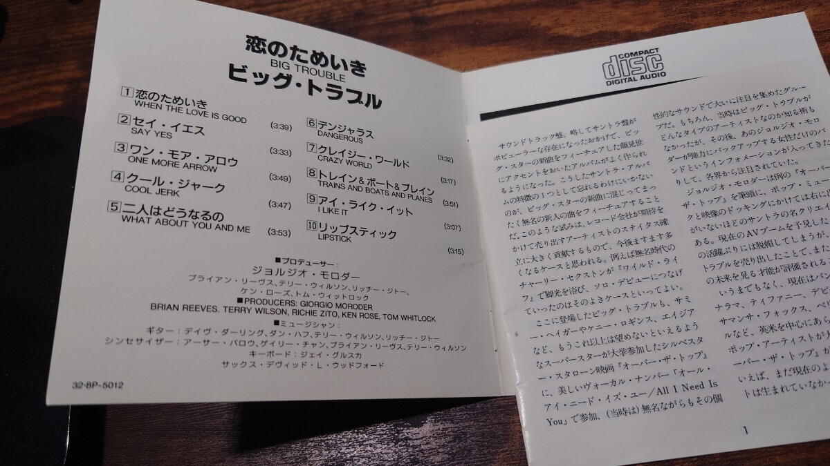希少廃盤 女性Vo ★ BIG TROUBLE ★ ビッグ・トラブル / 恋のためいき [国内盤 見本盤CD] U.S/POPS ROCK DANN HUFF / ERIC MARTIN等参加の画像6