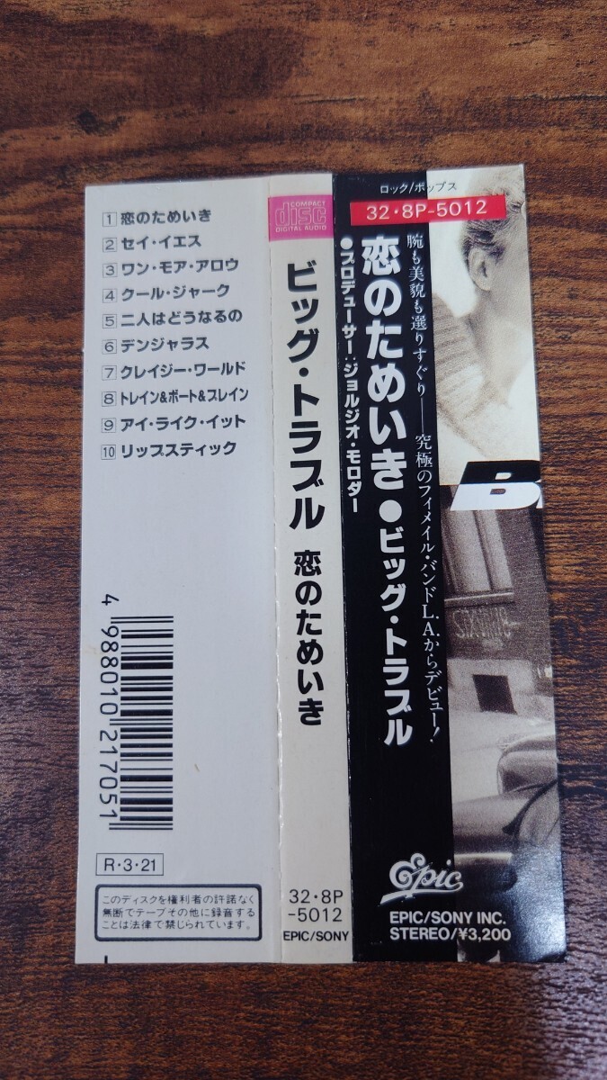 希少廃盤 女性Vo ★ BIG TROUBLE ★ ビッグ・トラブル / 恋のためいき [国内盤 見本盤CD] U.S/POPS ROCK DANN HUFF / ERIC MARTIN等参加の画像4