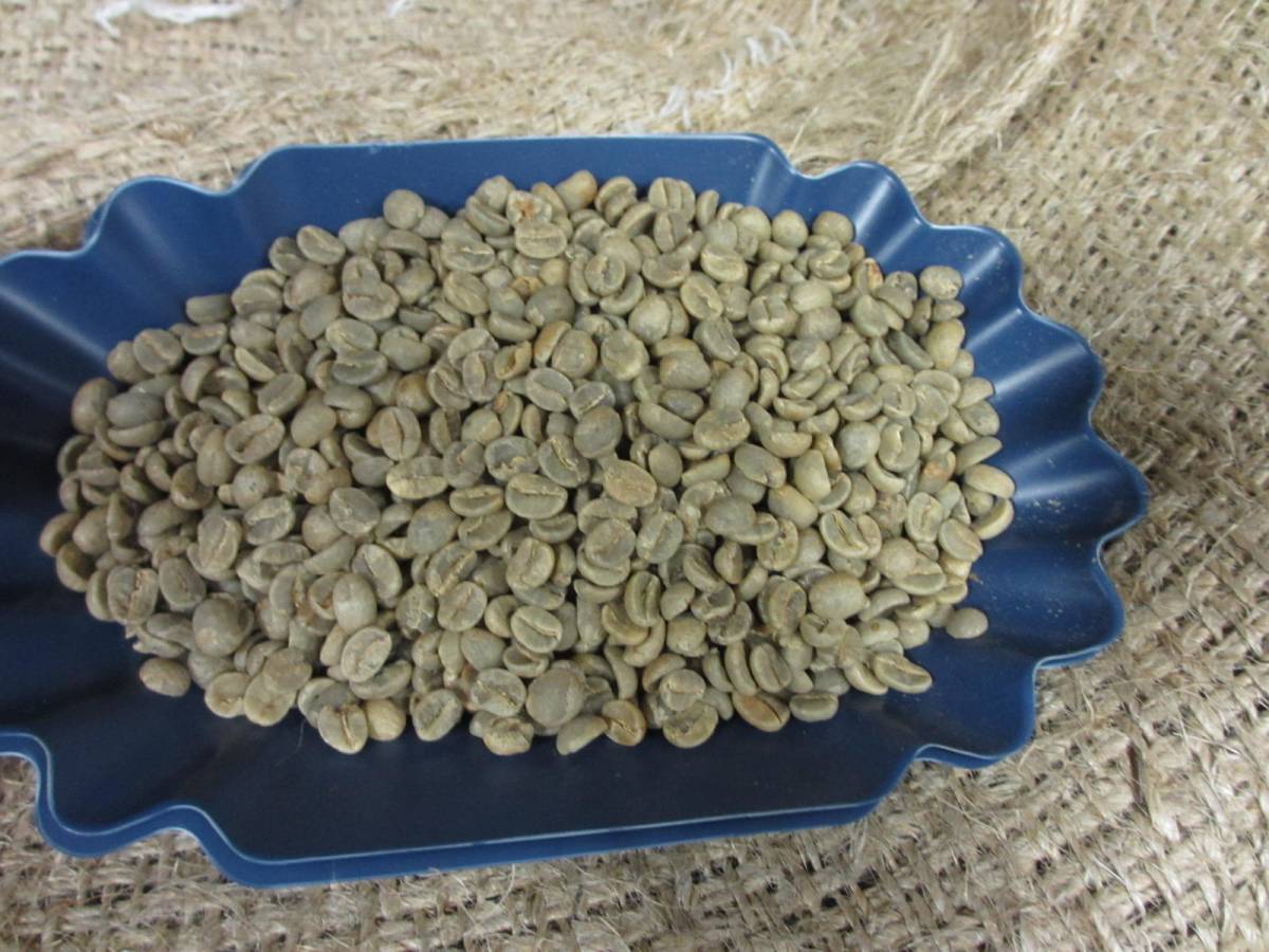 新鮮コーヒー豆 キリマンジャロＡＡ シティロースト １ｋｇ ハローコーヒー＃501の画像4