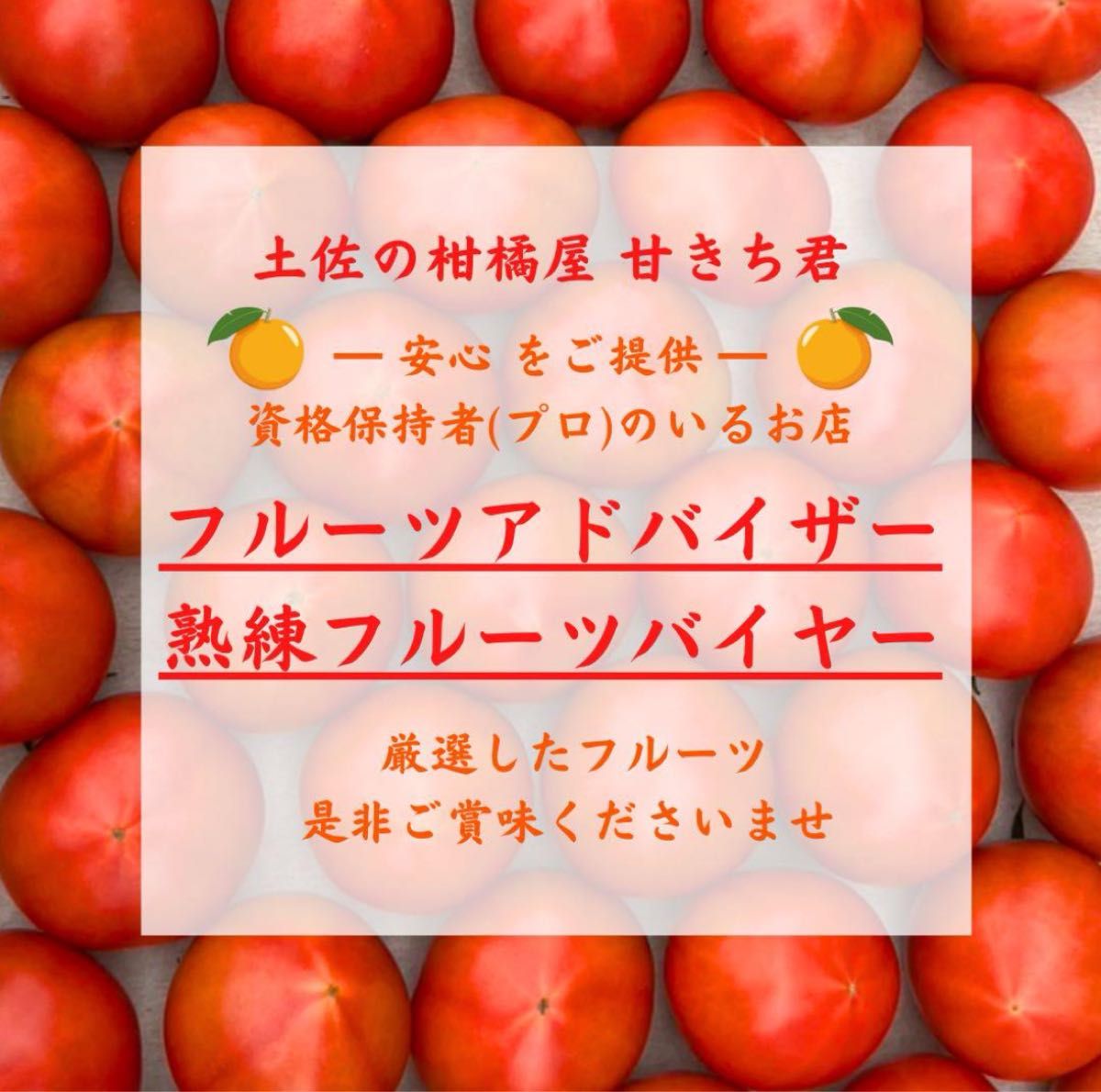 28知県産 土佐 フルーツトマト 産地直送 約1kg 宅急便コンパクト