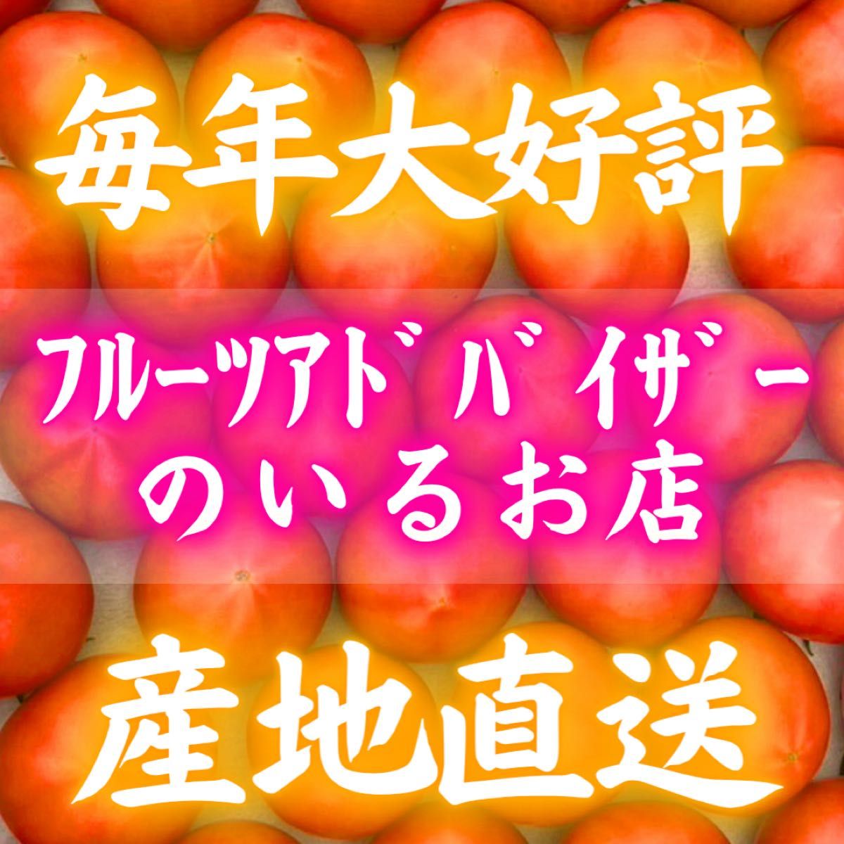 28知県産 土佐 フルーツトマト 産地直送 約1kg 宅急便コンパクト