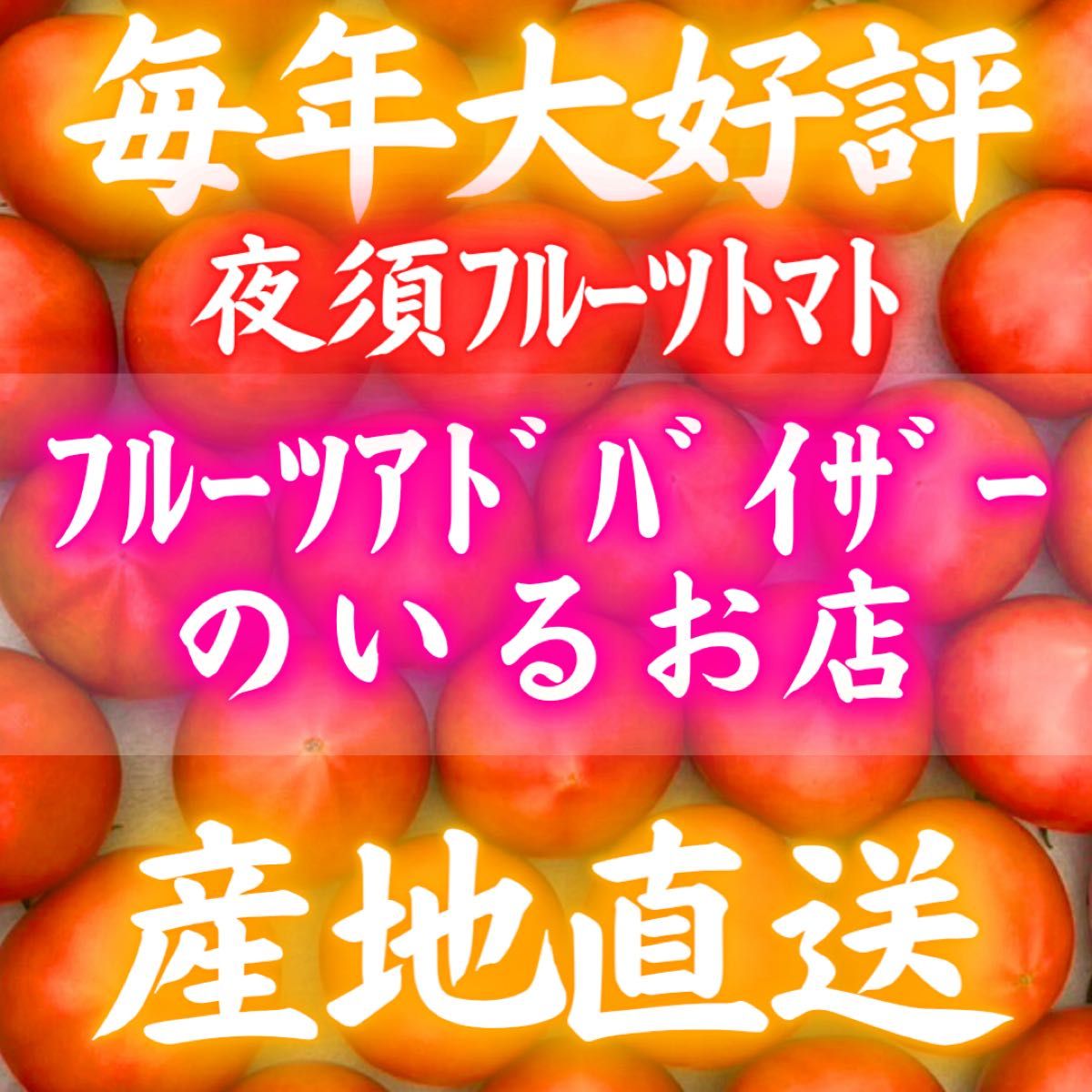 28知県産 土佐 フルーツトマト 産地直送 約1kg 宅急便コンパクト