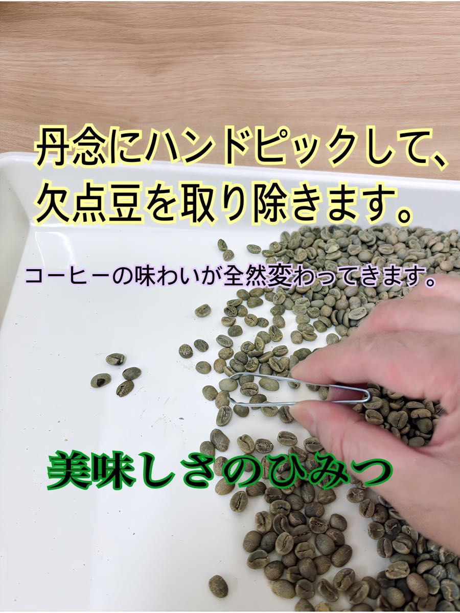 なめらかなコクと甘み ブラジルセラード 手摘み完熟豆 200g コーヒー豆 自家焙煎