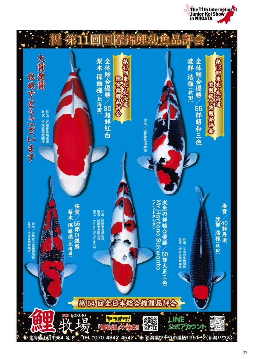 [ common carp ranch ]NO.12 ~ Tohoku Hokkaido . common carp goods judgement . just before SP!!~ Okayama peach Taro common carp work .. white this year 24cm production certificate attaching!!