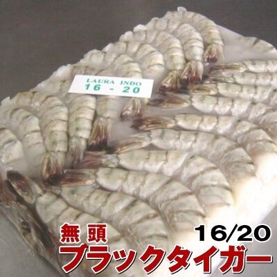 冷凍ブラックタイガー　16/20サイズ(約72尾)　無頭　エビフライや海老の天ぷらにお使い下さい_画像1