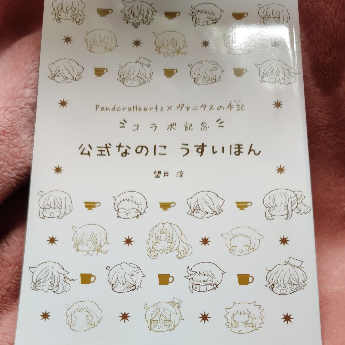 Pandorahearts × ヴァニタスの手記 コラボ記念 公式なのにうすいほん 望月淳
