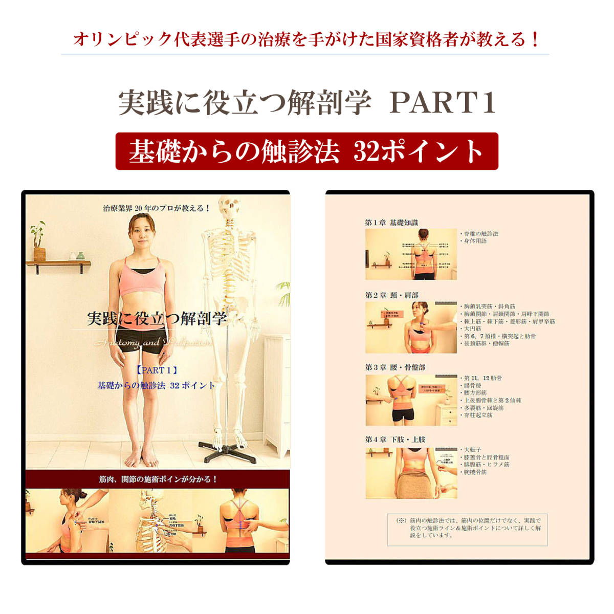 PLACEBO NAVIGATE SYSTEM/プラシーボ ナビゲート システム JOINT】本編DVD+特典DVD.URL+別売【ホルモン活性療法】 山内要☆整体 - 民間療法 PLACEBO NAVIGATE SYSTEM/プラシーボ ナビゲート システム JOINT】本編DVD+特典DVD.URL+別売【ホルモン活性療法】 山内要☆整体 - 民間療法