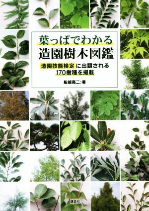 葉っぱでわかる造園樹木図鑑 造園技能検定に出題される１７０樹種を掲載／船越亮二(著者)_画像1