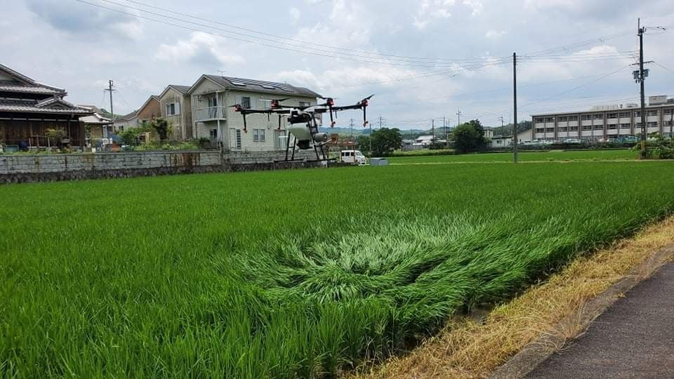 Ｒ５年度   　京都産　　ヒノヒカリ　　