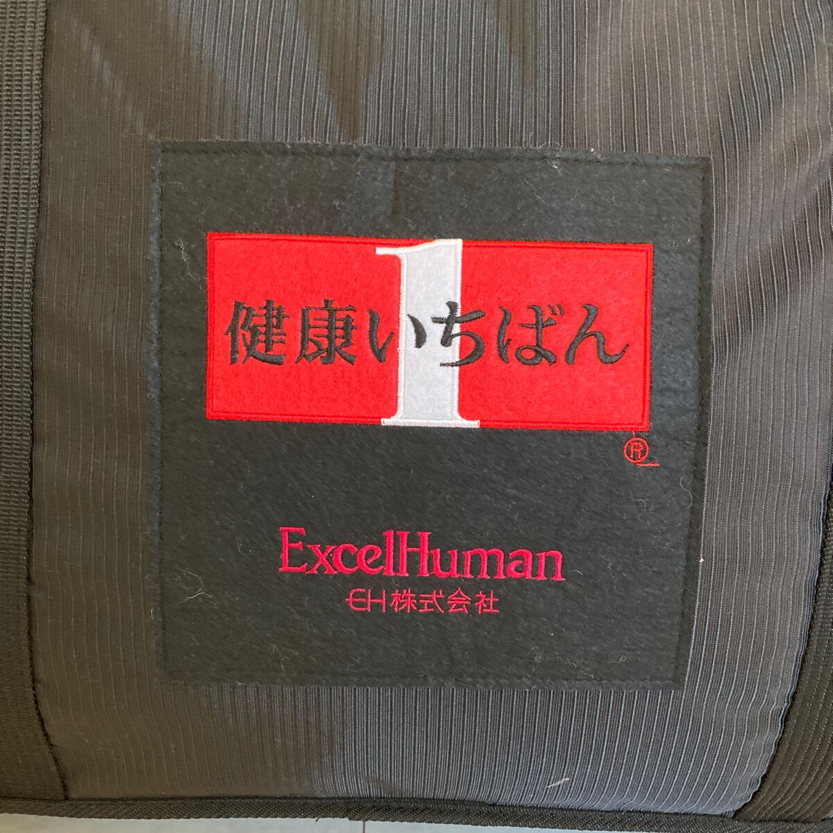 Excel Human/エクセルヒューマン EH-100 健康いちばん 家庭用医療機器 シングル マットレス ピンク系 専用カバー ケース付の画像10