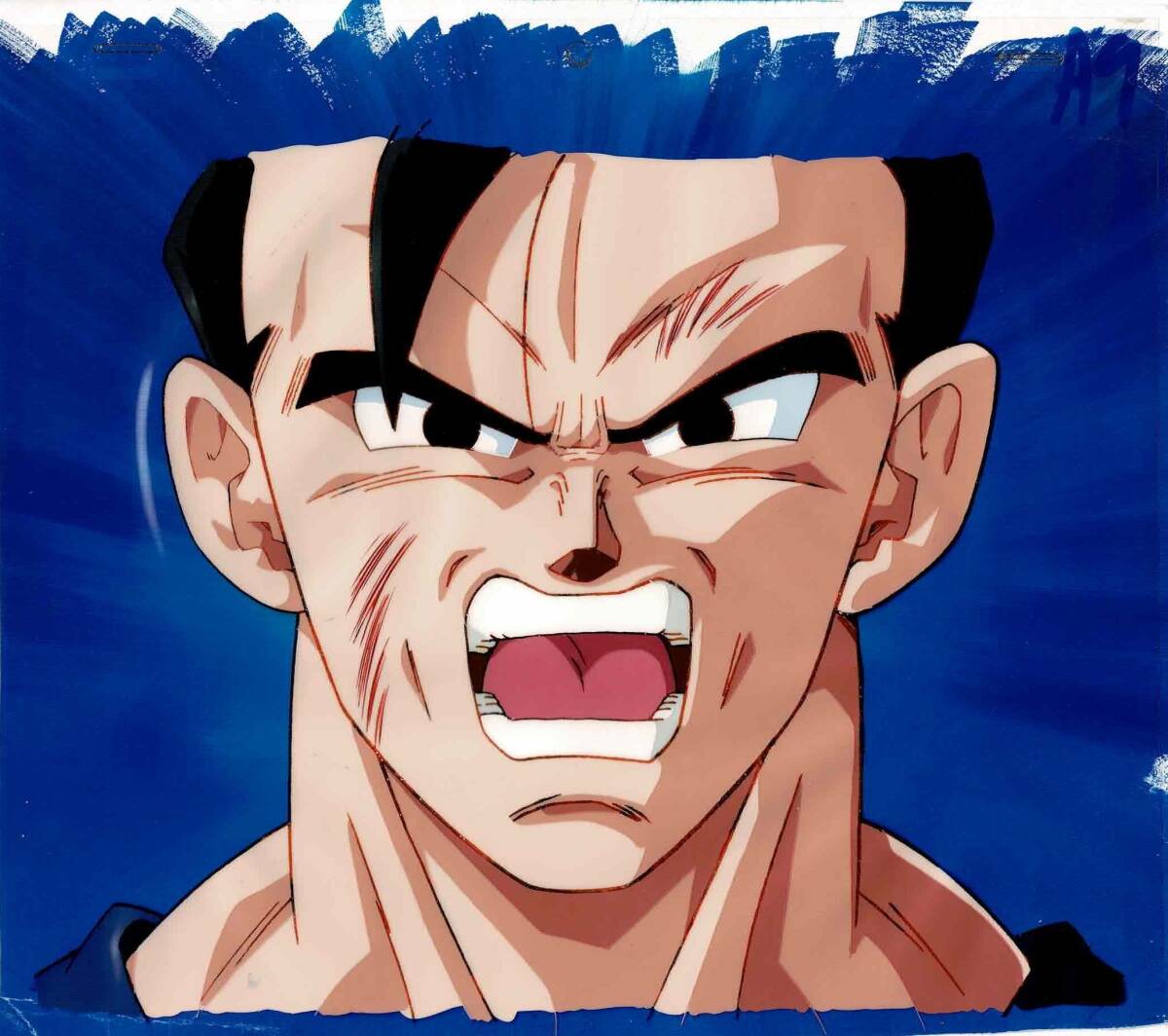 ドラゴンボールZ 孫悟空 セル画 動画 原画 背景画 鳥山明 集英社 ドラゴンボールZ 孫悟空 セル画 動画 原画 背景画 鳥山明 集英社