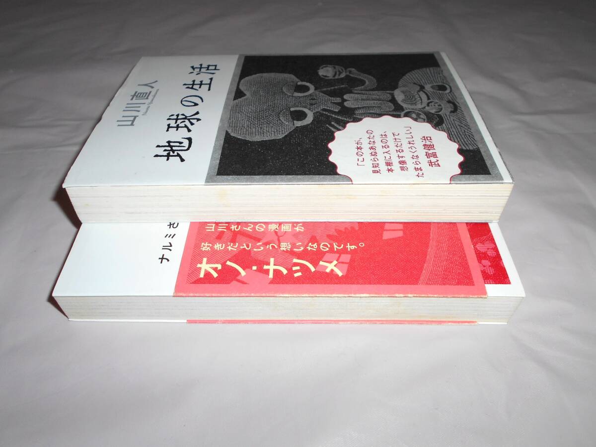 山川直人 2冊　ナルミさん愛してる　その他の短編・地球の生活　_画像3